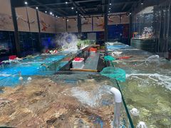 -苏先生海鲜渔庄(金桥店)