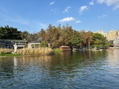 -荔湾湖公园