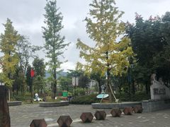 -四川农业大学(雅安校区)