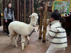 -杭州开元森泊度假乐园