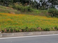 -万佛湖风景区