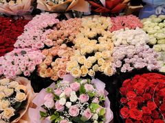 -大自然花鸟鱼虫市场