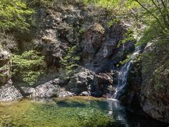 -云岫谷游猎自然风景区