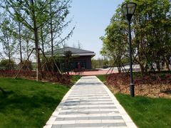 android_upload_pic-汤湖公园