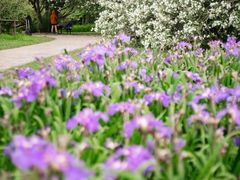 -上海共青森林公园