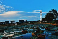 -水八仙生态园