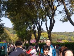 -无锡市乌鹤山公墓办事处