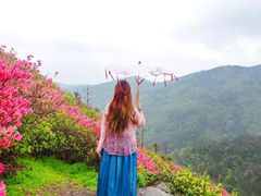-木兰云雾山