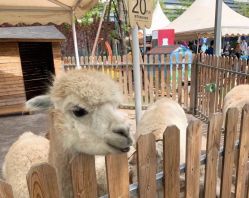 -萌宠亲子动物乐园(槐房万达店)