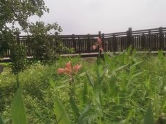 -东湖落雁景区