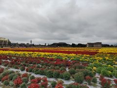 -中国天府农业博览园