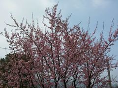 android_upload_pic-林屋洞景区
