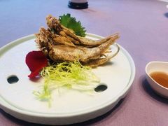 -宝燕壹号景观餐厅(龙盛国际商业广场店)