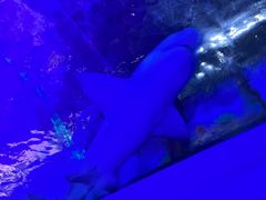 -常州海昌海洋探索馆