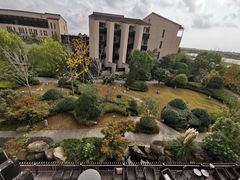 -上海崇明金茂凯悦酒店