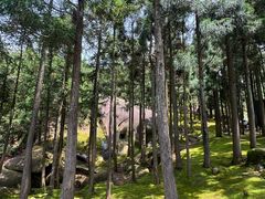 -玉苍山国家森林公园