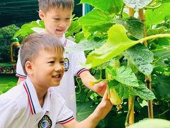 -金豆子幼稚园