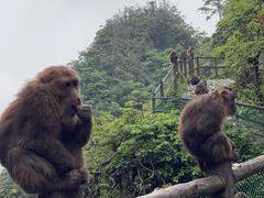 -峨眉山风景名胜区