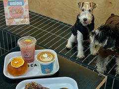 -屋裡·Union Bakery(龙江路店)