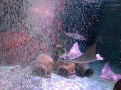 -沈阳海洋探索中心