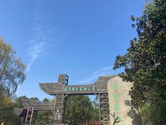 -溱湖国家湿地公园