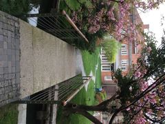 上海瑞金洲际酒店-上海瑞金洲际酒店