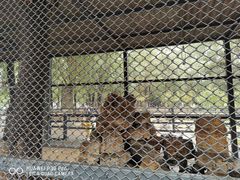 -长白岛森林公园