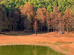 -青龙山国家森林公园