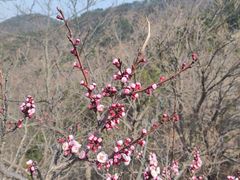 -兴和园拉面(泉涌街鲜鲜店)