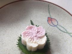 -芙蓉堂(武汉天地店)
