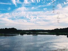 -荷塘月色湿地公园·向阳花洲
