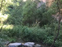 -龙门涧景区