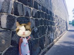 -蓬莱欧乐堡海洋极地世界
