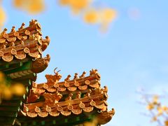 -故宫博物院(故宫)
