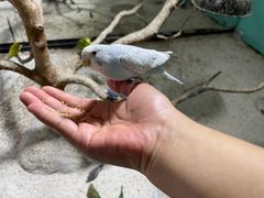 -上海大自然野生昆虫馆(东方明珠·爬宠昆虫探索中心)