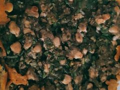 厦门海蛎煎-青竹园海鲜餐厅(海天路店)