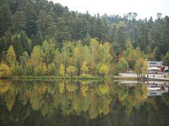 -五营红松林海景区