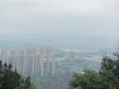 -铁山坪森林公园