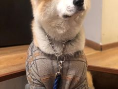 -YCHL Studios健身工作室(市二宫店)