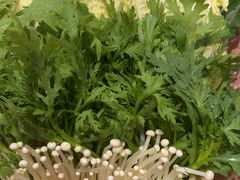 -蝎王府羊蝎子(西直门店)