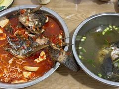 -风鑫铃罗非鱼(道沟店)