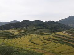 景点-大姆山草场