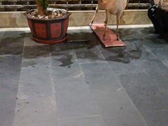 -健眺小海鲜(临海后山店)