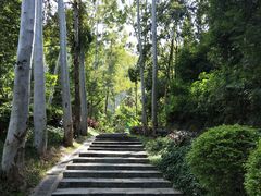 -火炉山森林公园