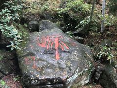 -藏龙百瀑风景区