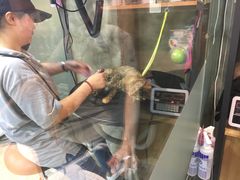 -PETKIT小佩宠物(昭化店)