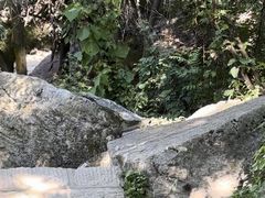 -秦岭终南山世界地质公园翠华山景区