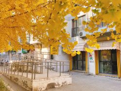 -陪我玩图书馆·烘焙坊·综合亲子馆