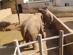 -西霞口神雕山野生动物世界