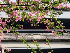 -浙江大学(玉泉校区)